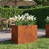 Product Thumbnail Image 2 of 10