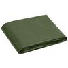 vidaXL Tarpaulin 180 g/m&sup2; 8x10 m Green HDPE