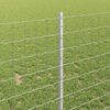 Product Thumbnail Image 4 of 14