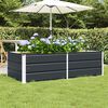 vidaXL Planter Anthracite 160 x 80 x 45 cm Steel