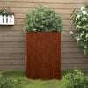 Product Thumbnail Image 2 of 11