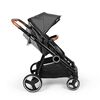 Baninni Twin Stroller Luiz Grey