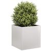Product Thumbnail Image 2 of 9
