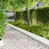 Product Thumbnail Image 2 of 9