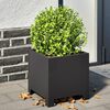 Product Thumbnail Image 2 of 12