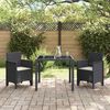 vidaXL Garden Chair 2 pcs Anthracite 53 x 49 x 85 cm PP