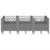Product Thumbnail Image 3 of 8