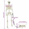 vidaXL Halloween Decoration Skeleton 2 pcs White Polypropylene