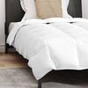 vidaXL Summer Duvet with Pillow 2 pcs White Down Feather