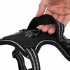 Product Thumbnail Image 12 of 14