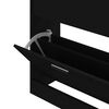 vidaXL Shoe Cabinet Black 63x24x81 cm Engineered Wood