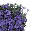 Product Thumbnail Image 6 of 8