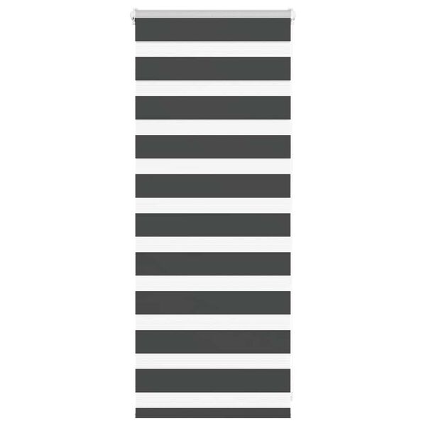 vidaXL Zebra Blind Black 65x100 cm Fabric Width 60.9 cm Polyester