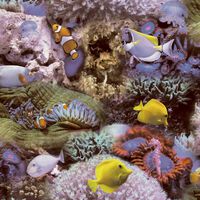 Noordwand Wallpaper Good Vibes Coral and Tropical Fish Yellow and Purple