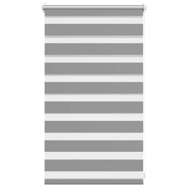 vidaXL Zebra Blind 50 x 100 cm Grey
