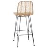 vidaXL Bar Chair 2 pcs Natural 44.5 x 53 x 111 cm Rattan and Iron