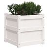 vidaXL Garden Planter White 50x50x50 cm Solid Wood Pine