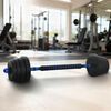 vidaXL 2-in-1 Dumbbell Set Black and Blue 121 x 19.5 x 19.5 cm