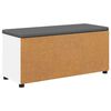 vidaXL Hall Bench with Cushion with Drawer White 100 x 38 x 46 cm