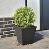 Product Thumbnail Image 2 of 10