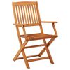 vidaXL Folding Garden Chairs 2 pcs Solid Eucalyptus Wood