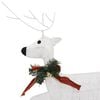 Product Thumbnail Image 12 of 14