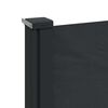 vidaXL Retractable Side Awning Black 220x500 cm