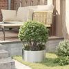 vidaXL Planter Ring 5 pcs Silver 40 x 40 x 20 cm Galvanised Steel