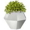 vidaXL Planter Silver 75 x 75 x 60 cm Galvanised Steel
