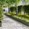 Product Thumbnail Image 2 of 8