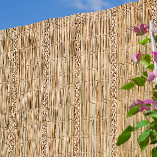 Nature Garden Screen Carex Sedge 3x1.2m