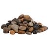 vidaXL Polished Pebbles 25 kg Mixed Colour 2-5 cm