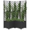 Product Thumbnail Image 7 of 8