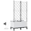 Product Thumbnail Image 4 of 8