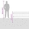 vidaXL Spike Fence Black 200 x 110 cm Powder-Coated Steel