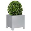 Product Thumbnail Image 9 of 11