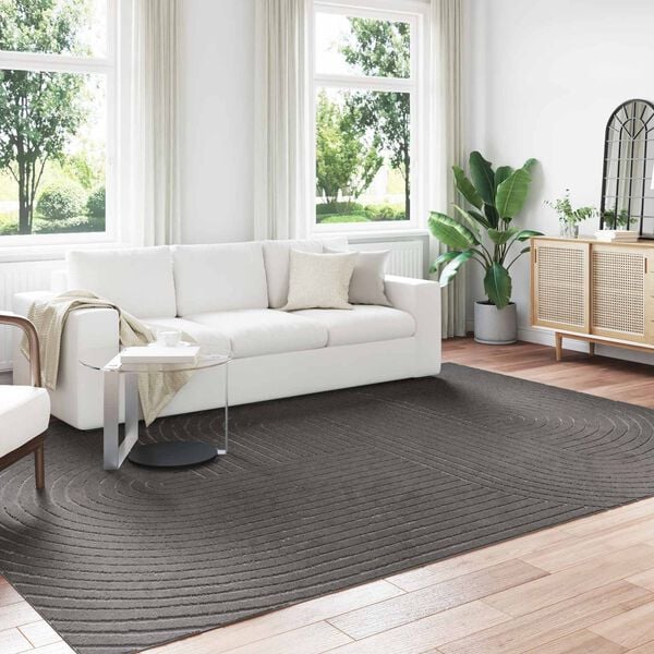 vidaXL Area Rugs Rectangular Anthracite 340 x 240 cm