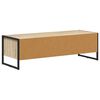 vidaXL TV Cabinet Sonoma 100 x 36.5 x 30.5 cm Engineered Wood