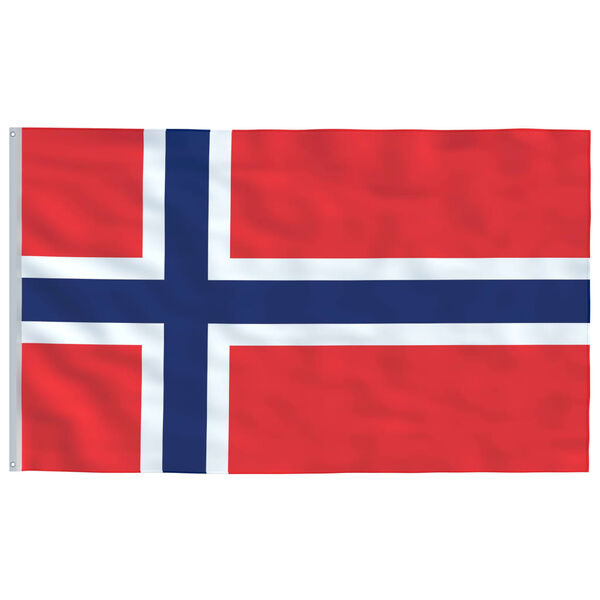 vidaXL Norway Flag and Pole 6.23 m Aluminium