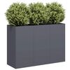 vidaXL Planter Anthracite 120x40x80 cm Cold-rolled Steel