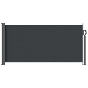 vidaXL Retractable Side Awning Black 300 x 100 cm Polyester
