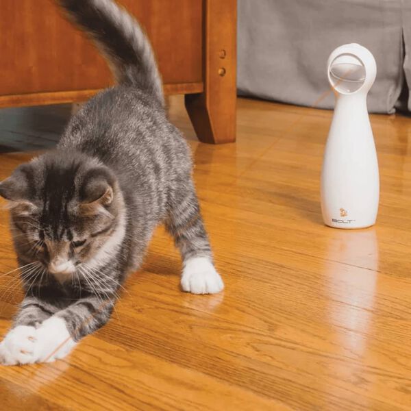 PetSafe Automatic Laser Light FroliCat Bolt White
