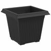 vidaXL Square Flower Pot 6 pcs Black 16 x 16 x 14 cm Plastic