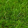 Product Thumbnail Image 3 of 4
