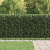 vidaXL Spike Fence Black 200 x 166 cm Powder-Coated Steel