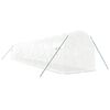 vidaXL Greenhouse with Steel Frame White 24 m&sup2; 12x2x2 m