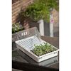 Product Thumbnail Image 3 of 4