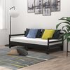 vidaXL Pull-out Day Bed without Mattress Black 2x(90x200)cm