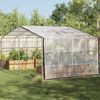 vidaXL Tarpaulin with Eyelets Transparent 4 x 6 m Polyethylene