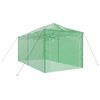 vidaXL Greenhouse with Roof Green 290 x 580 x 315 cm Steel